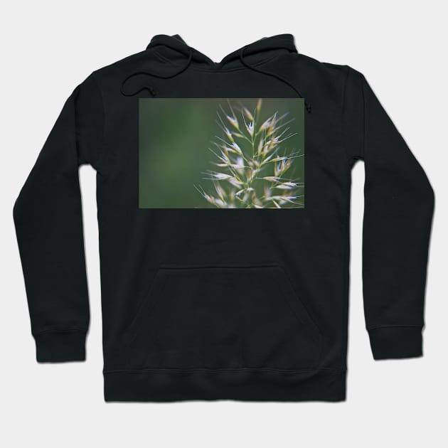 Grass Seeds Hoodie by InspiraImage